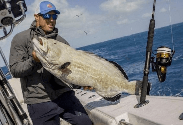 Moulinet Penn Spinfisher VI 6500 - 7500