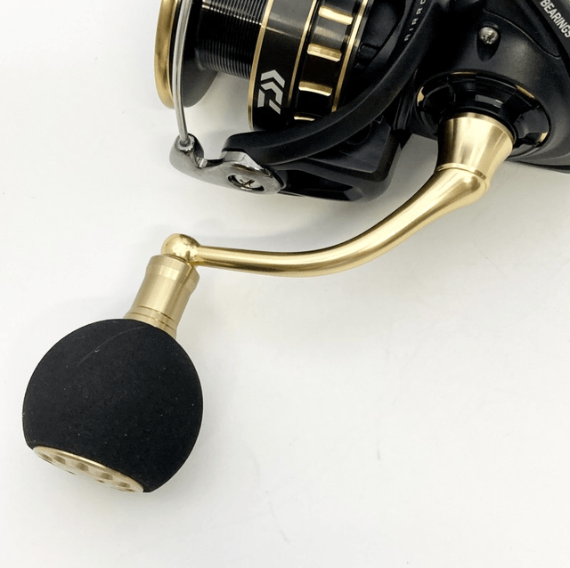 Moulinet Daiwa 23 BG SW 5000D-CXH