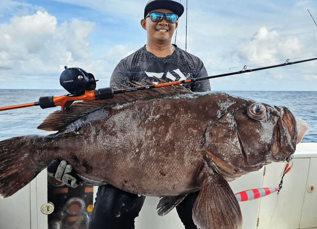 Moulinet DAIWA Saltiga 15HL Casting 2023