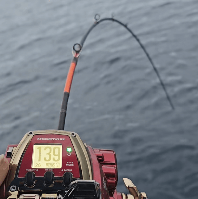 Canne Daiwa Specter Slow Jig 1m83 B4/B5/B6 