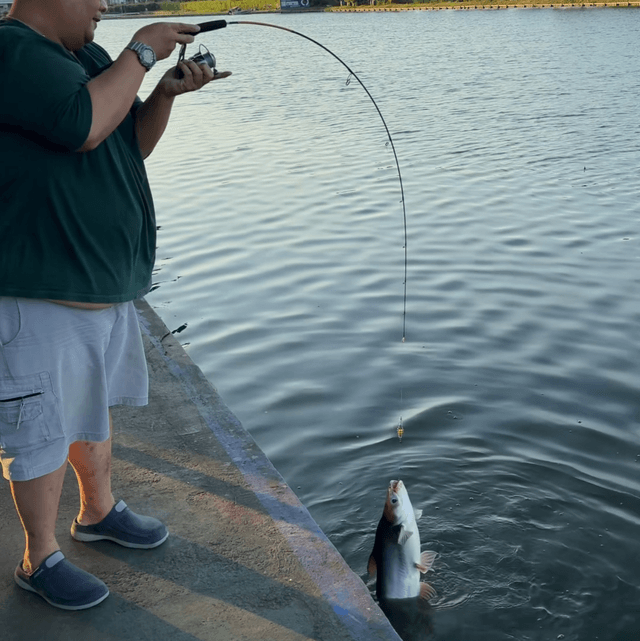 Canne Light Jigging VIPER KILIN 50gr 1m80 (SPINNING / CASTING
