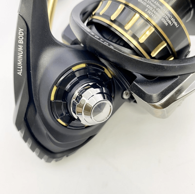 Moulinet Daiwa 23 BG SW 6000D-P