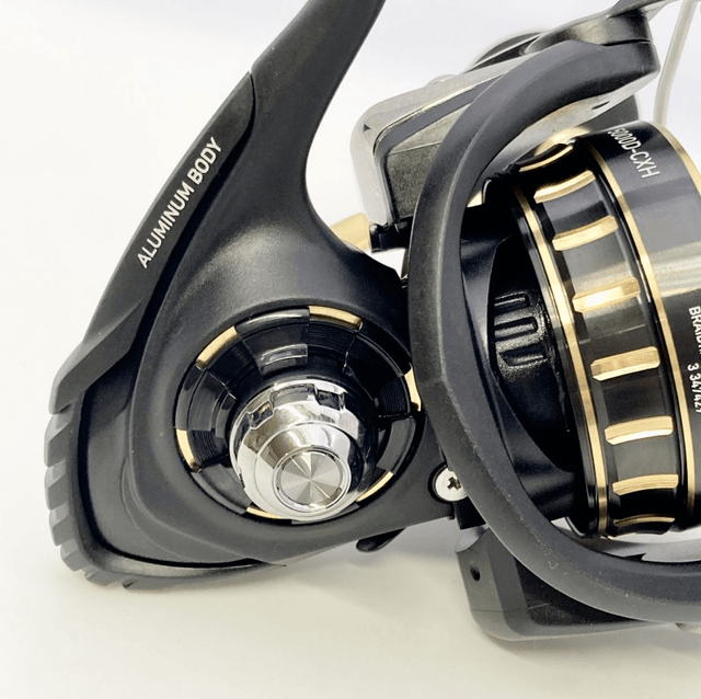 Moulinet Daiwa 23 BG SW 5000D-CXH