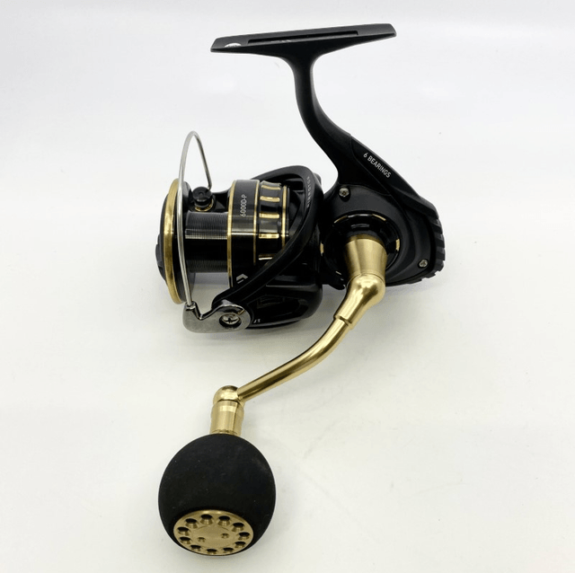 Moulinet Daiwa 23 BG SW 6000D-P
