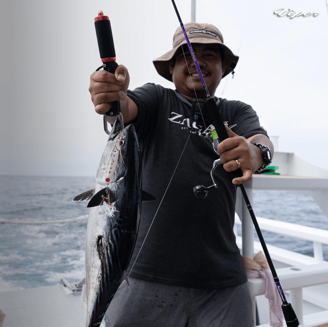Canne Light Jigging VIPER HYDRA 120gr 1m76 (SPINNING / CASTING