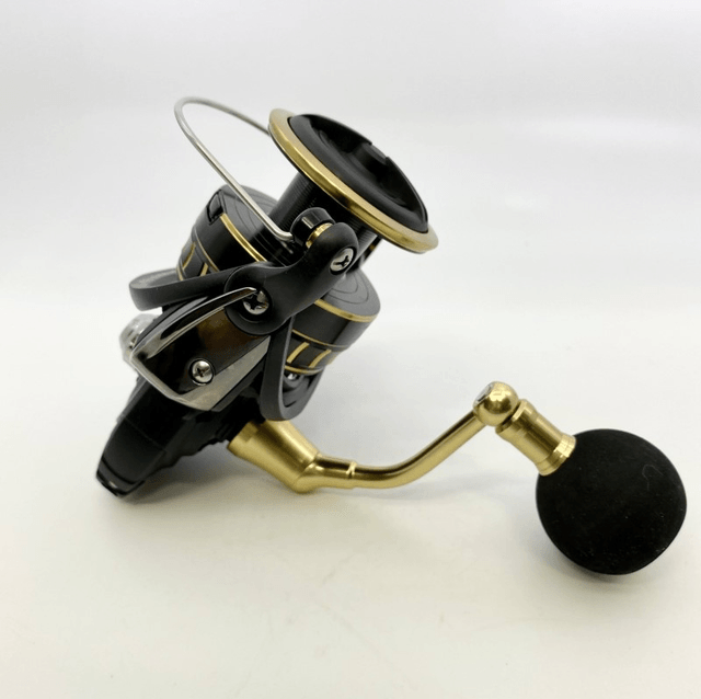 Moulinet Daiwa 23 BG SW 6000D-P