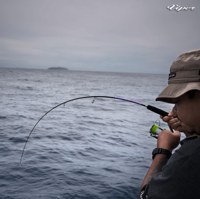 Canne Light Jigging VIPER HYDRA 120gr 1m76 (SPINNING / CASTING