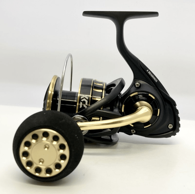 Moulinet Daiwa 23 BG SW 5000D-CXH