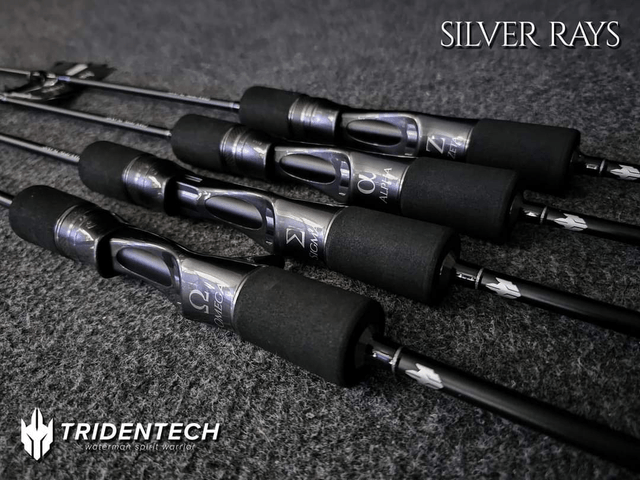 Canne Tridentech Silver Rays Casting 420gr/520gr/620gr/800gr