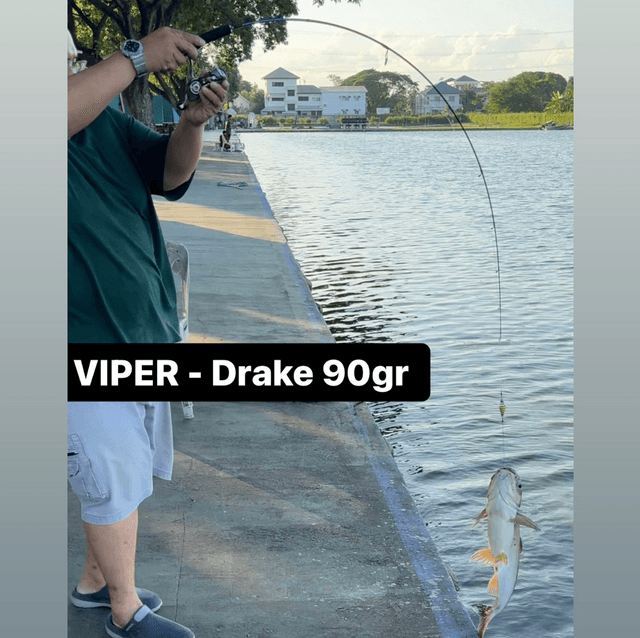 Canne Light Jigging VIPER DRAKE 90gr 1m78 (SPINNING / CASTING