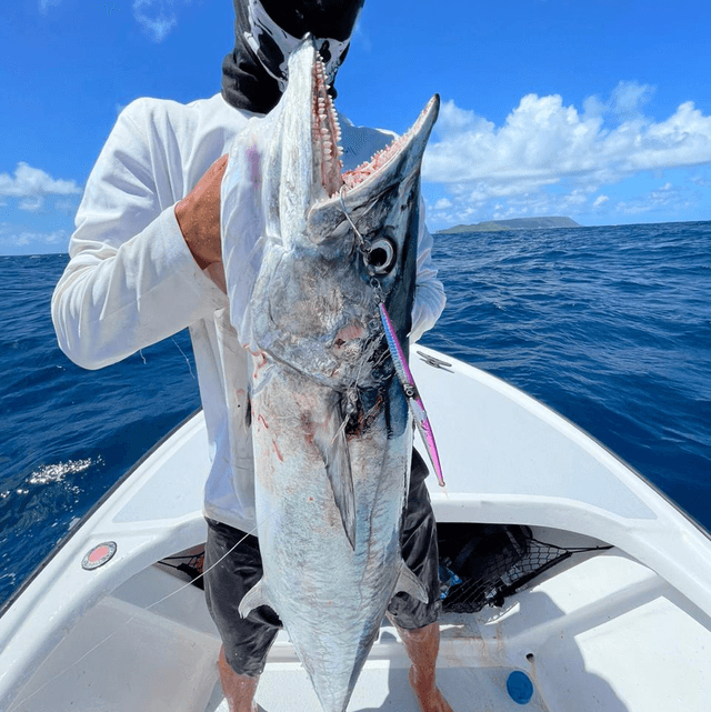 Anneaux brisés x10 pièces 10.5mm Ø 200LBS TEST